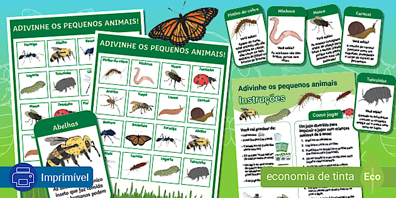 Jogo - Adivinhe os pequenos animais! (Teacher-Made) - Twinkl