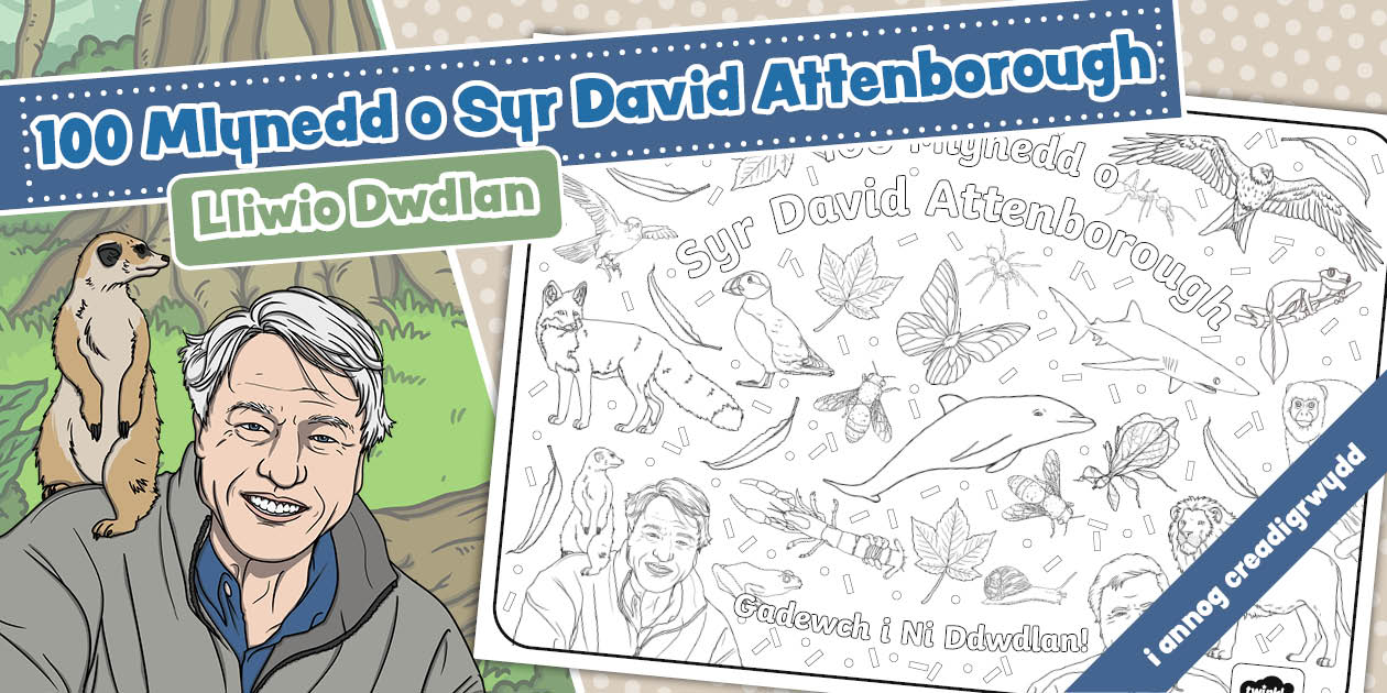 100 Mlynedd o Syr David Attenborough - Lliwio Dwdlan