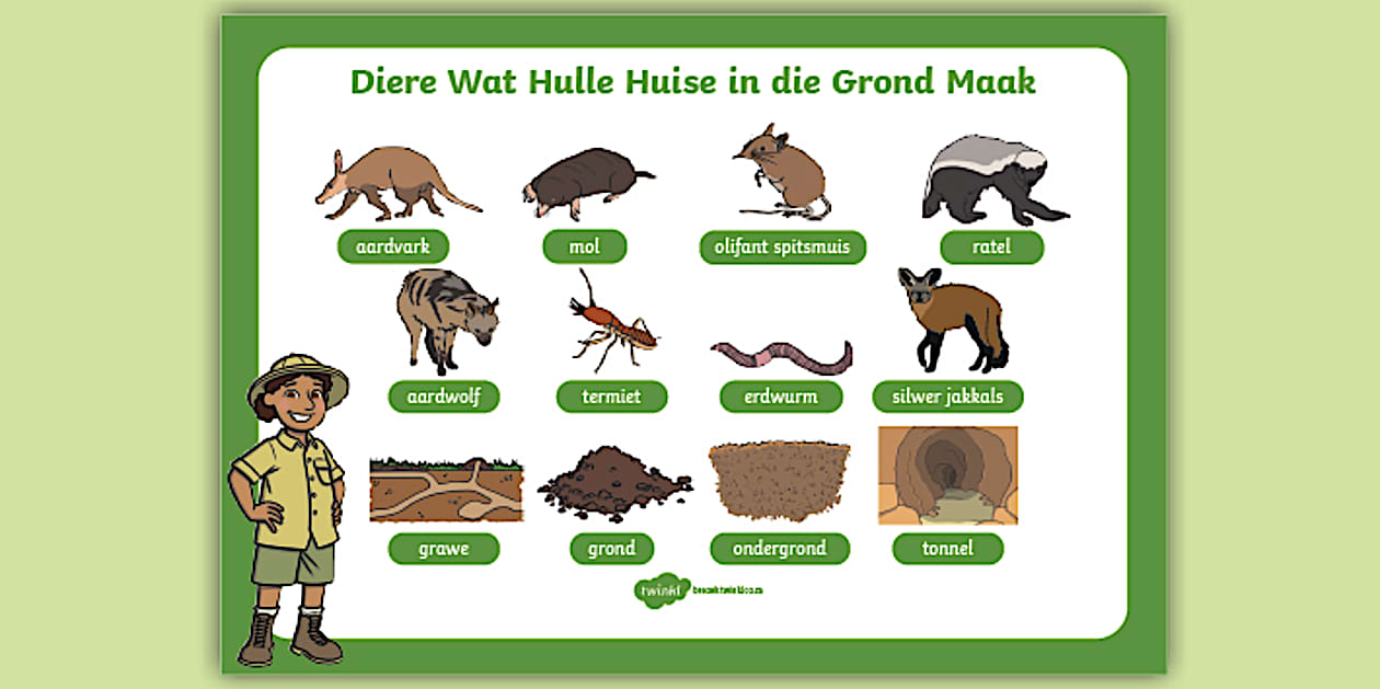Diere Wat Hulle Huise in die Grond Maak Woordmat - Twinkl