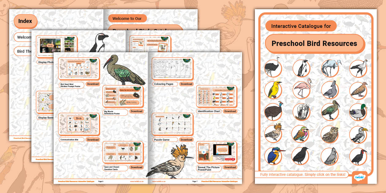 FREE! Interactive Catalogue for Preschool Bird Resources Twinkl