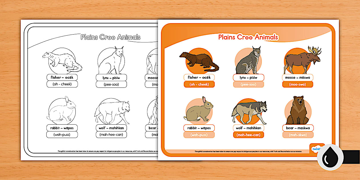 FREE! - Animals in the Plains Cree Language Word Mat