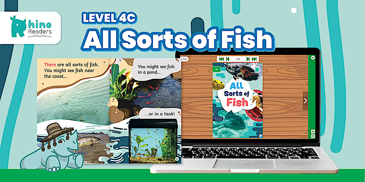 Level 4c All Sorts of Fish eBook
