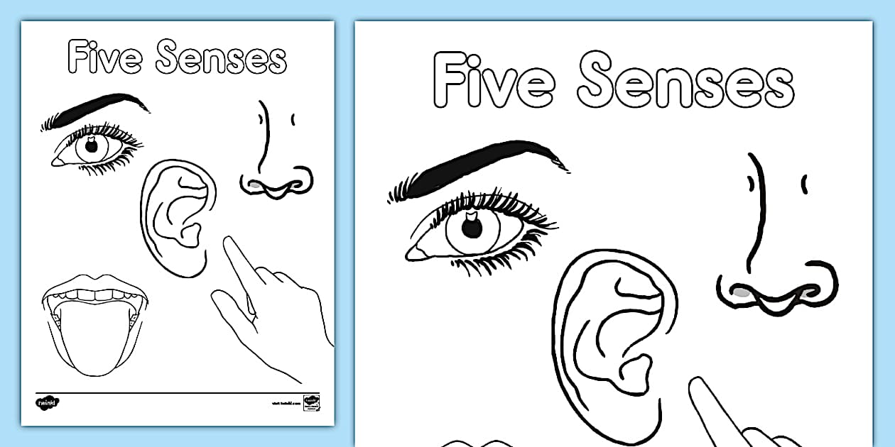 Five Senses Coloring Sheet (teacher made) Twinkl