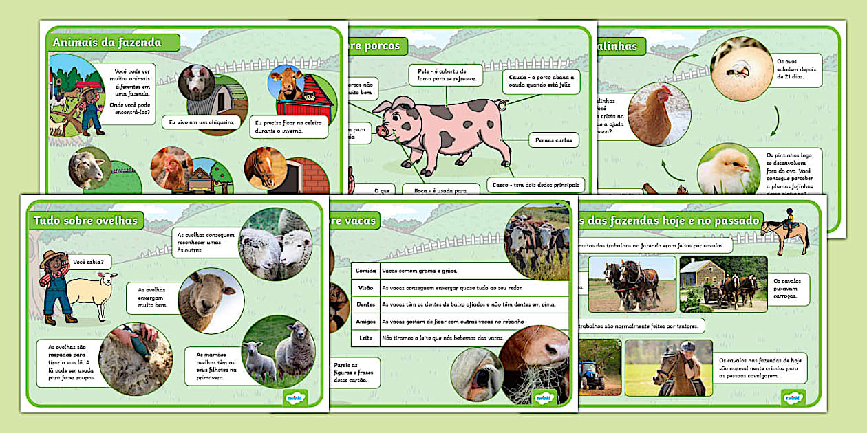 Animas Da Animais da fazenda - Cartões de fatos - Twinkl