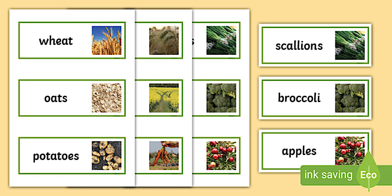 Locally Grown Crops- Cards (teacher made) - Twinkl