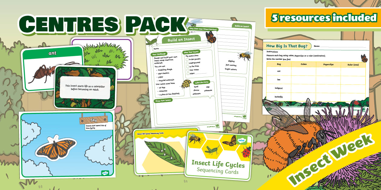 Insect Week Centres Pack - Activities