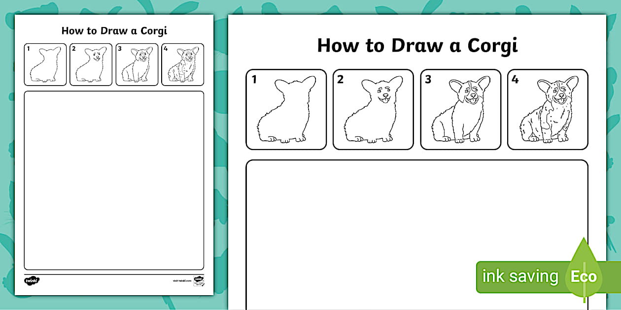 How to Draw a Corgi Activity | Twinkl | Drawing | Art | KS1