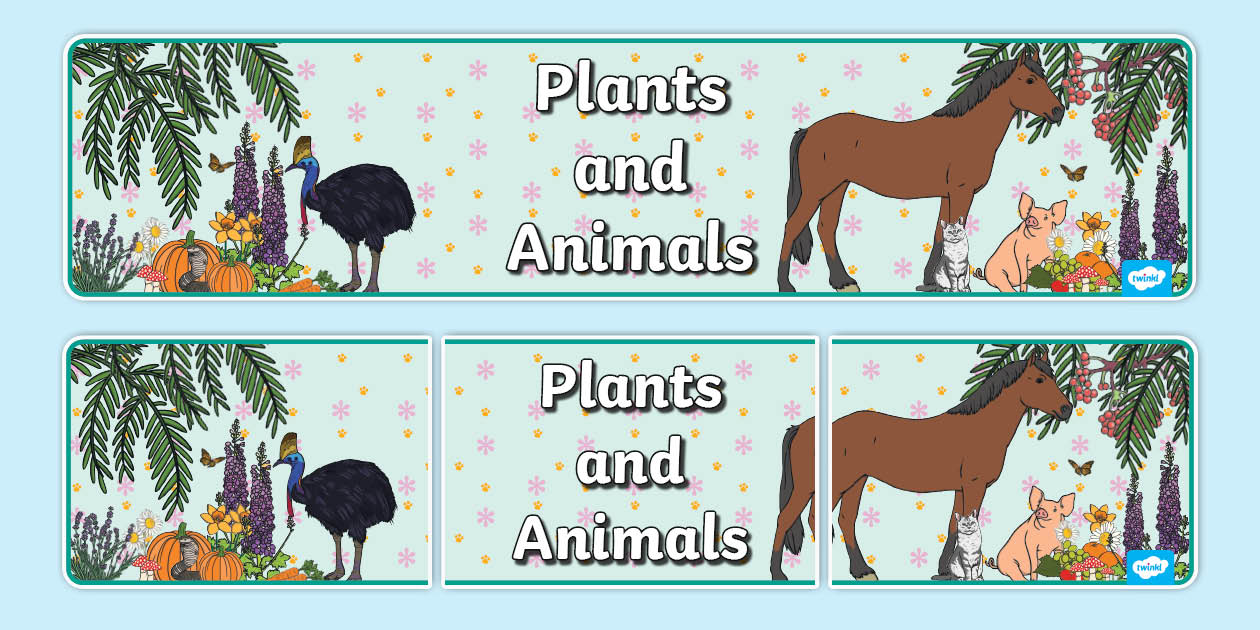 Plants and Animals Display Banner (teacher made) - Twinkl