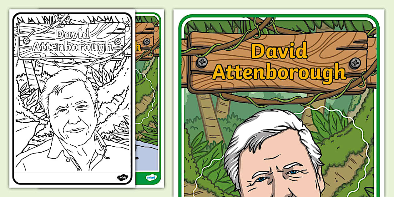 david-attenborough-display-poster-twinkl