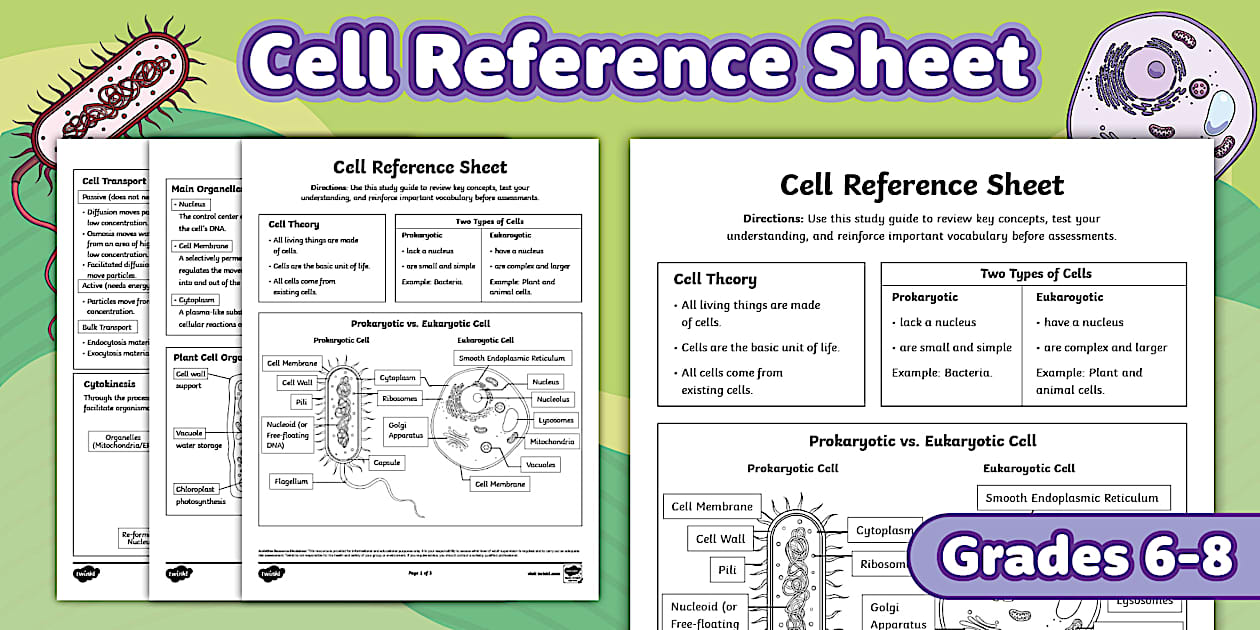 Cell Reference Sheet for 6th-8th Grade