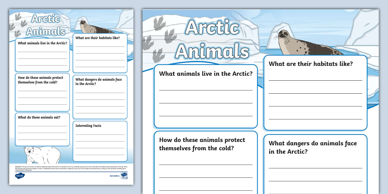 Arctic Animals Fact File Template (teacher made) - Twinkl