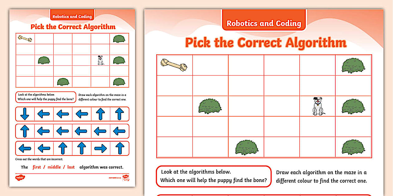 Robotics and Coding - Pick the Correct Algorithm - Twinkl