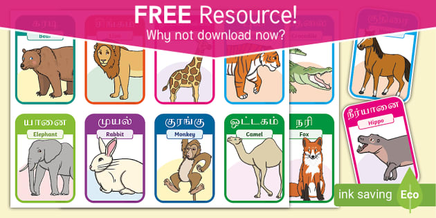 FREE! - 40 Animal Flash Cards in Tamil/English - Twinkl