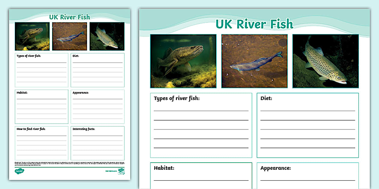 UK River Fish Fact File Template (teacher made) - Twinkl