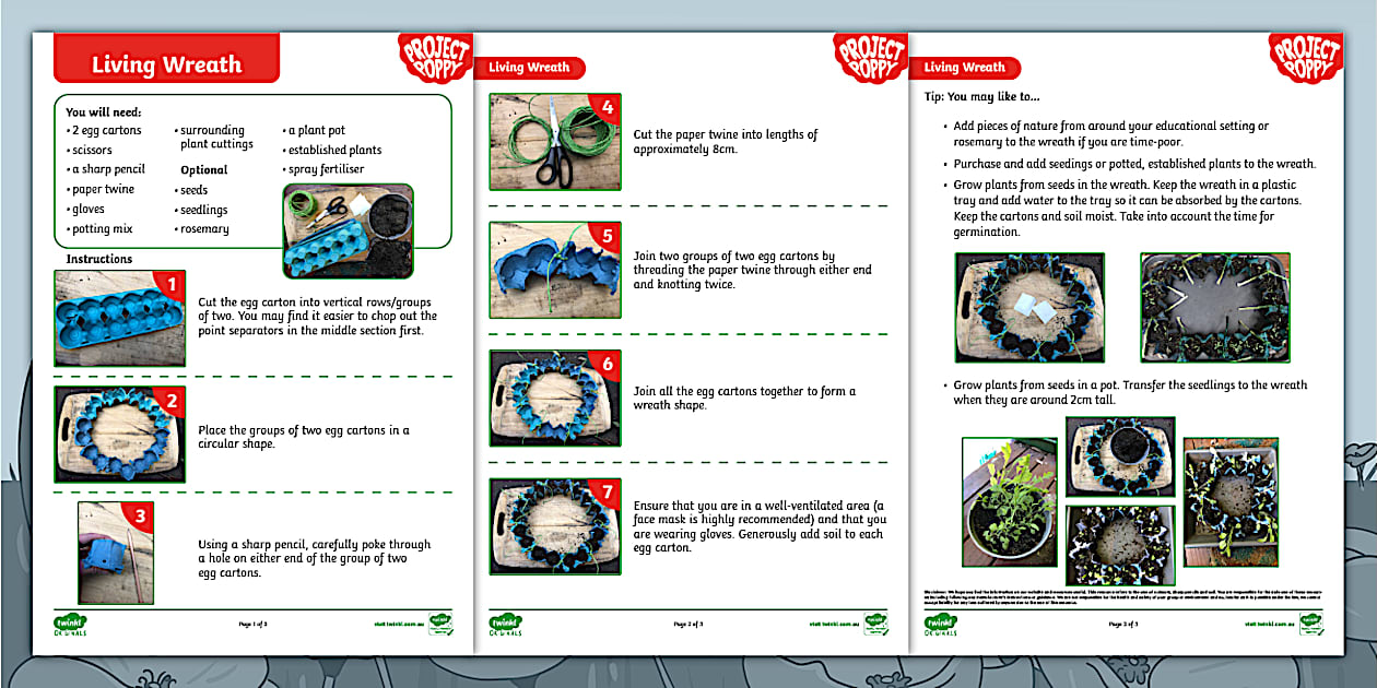 Project Poppy – Living Wreath - Anzac Day - Twinkl