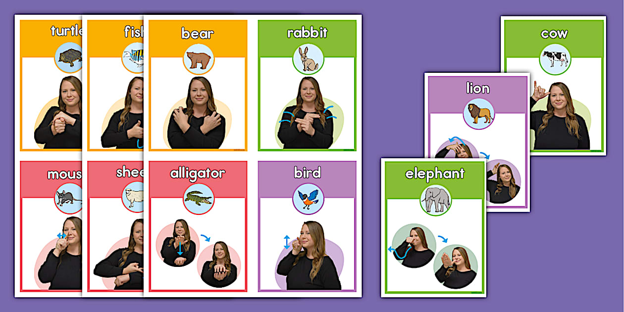 Animal Sign Language Flash Cards for Kids | Twinkl USA