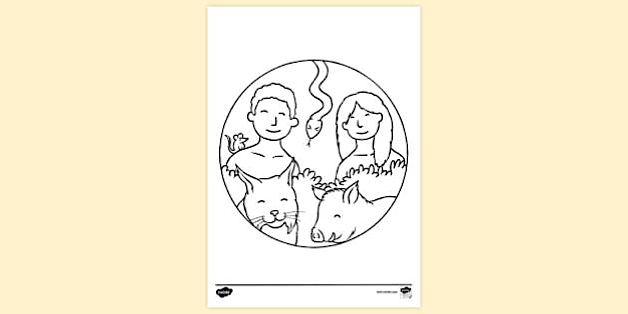 Days of Creation Colouring | Colouring Sheets (teacher made)