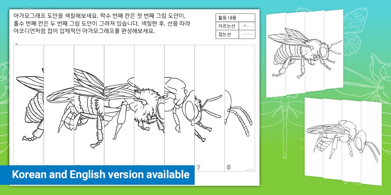꿀벌 아가모그래프 | Bees Agamograph (teacher made)