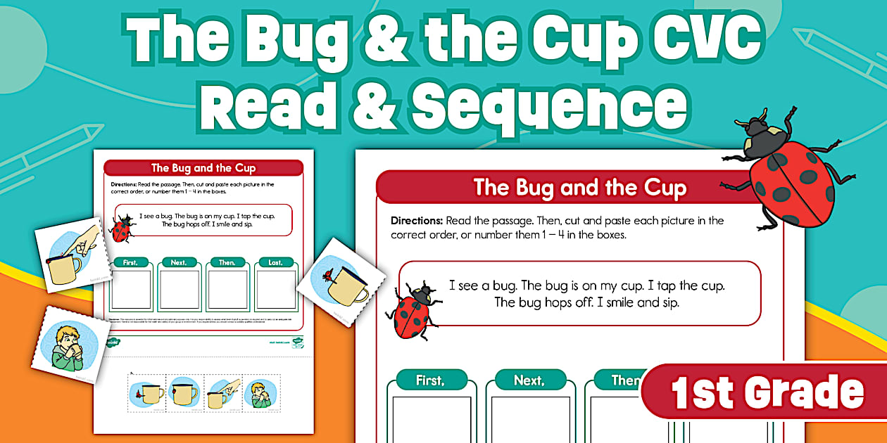 First Grade The Bug and the Cup CVC Read and Sequence
