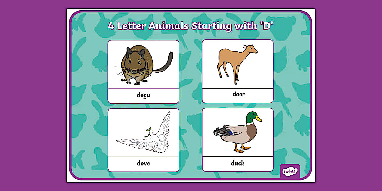 Four letter animals that start with d display poster