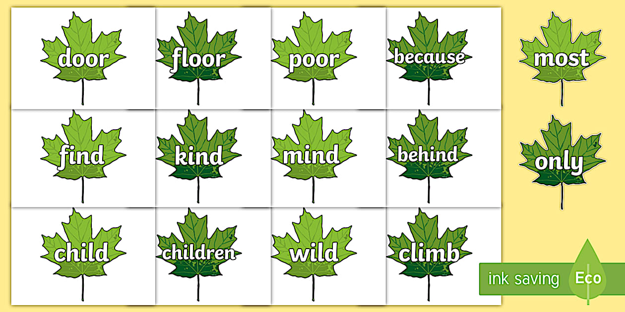 Exception Cursive Cursive Year 2 Common Exception Words on Leaves Display Cut-Outs