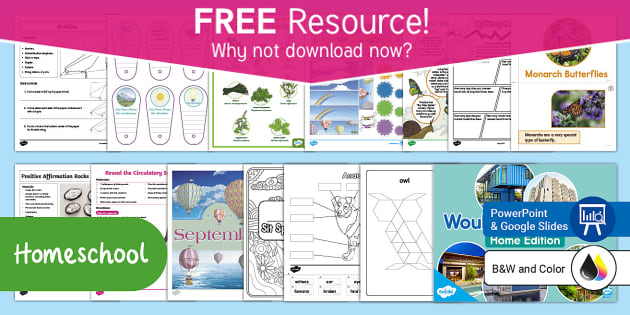 FREE Homeschool Teaching Pack (teacher Made) - Twinkl