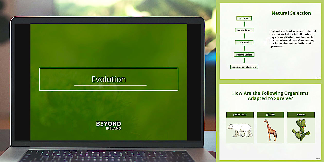 Evolution PowerPoint