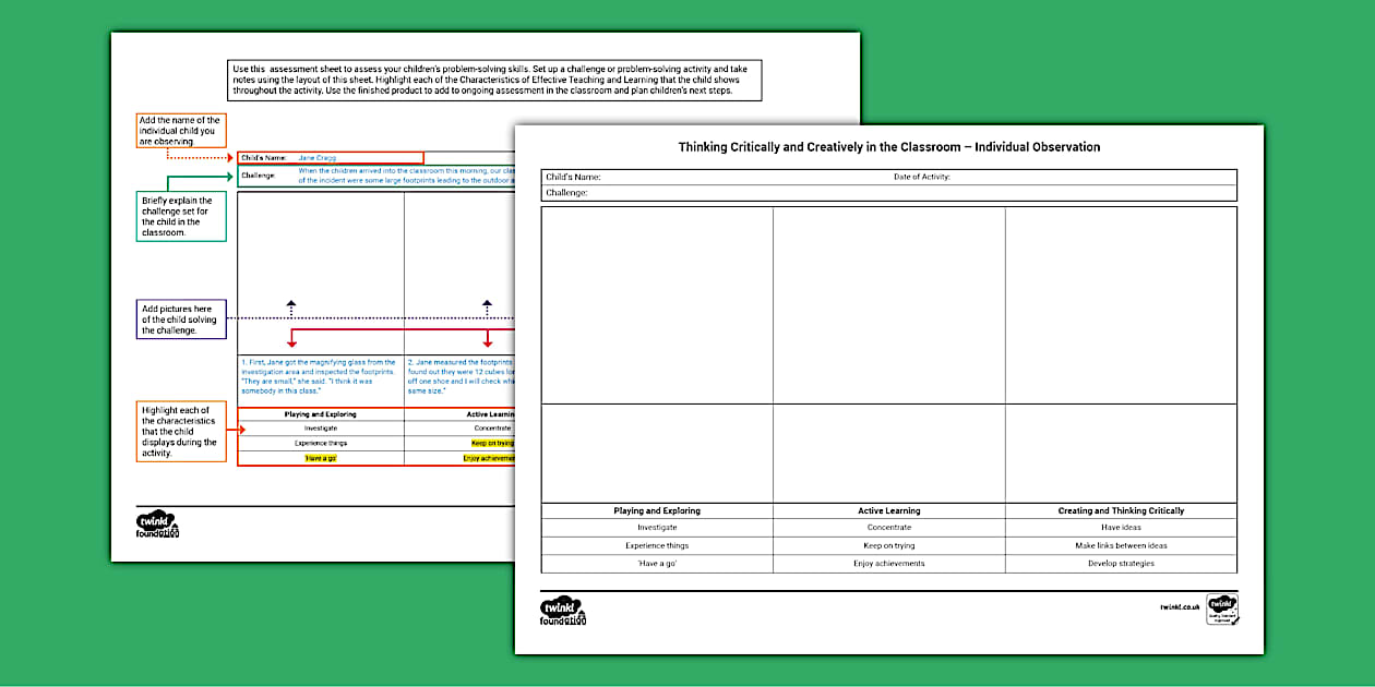 Thinking Critically and Creatively Individual Observation Template