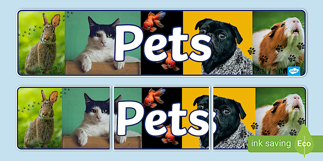 Pets Photo Display Banner (teacher made) - Twinkl