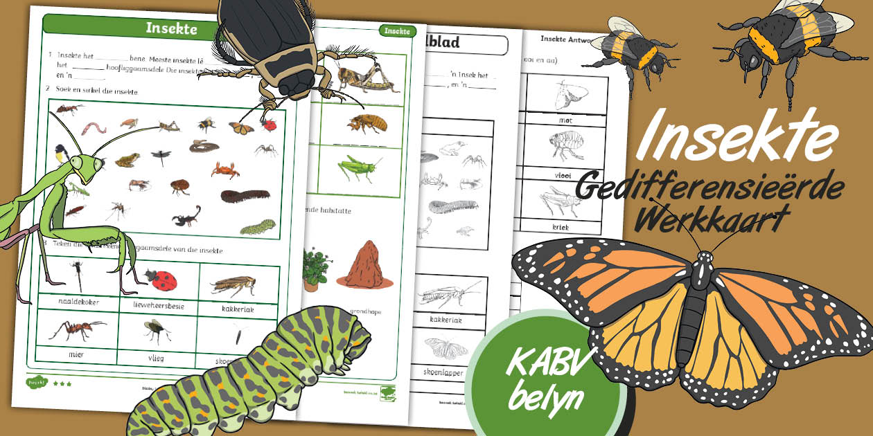 Graad 3 Lewensvaardighede Insekte Gedifferensieërde Werkkaart
