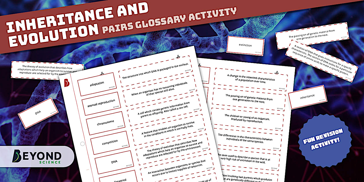 Inheritance and Evolution Pairs Glossary Activity | Beyond