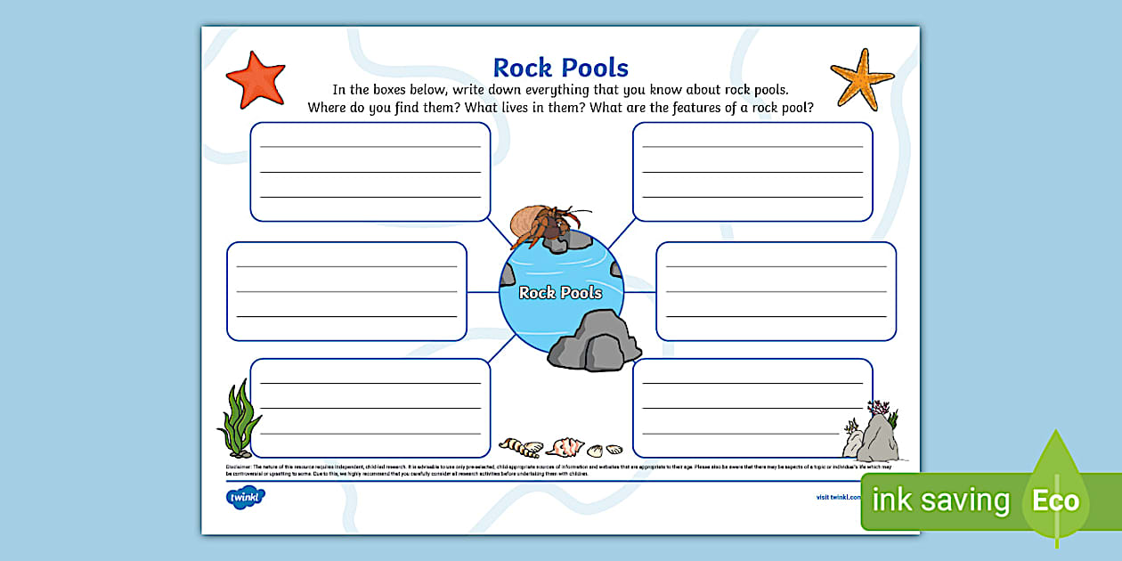 Rock Pools Mind Map (teacher made) - Twinkl