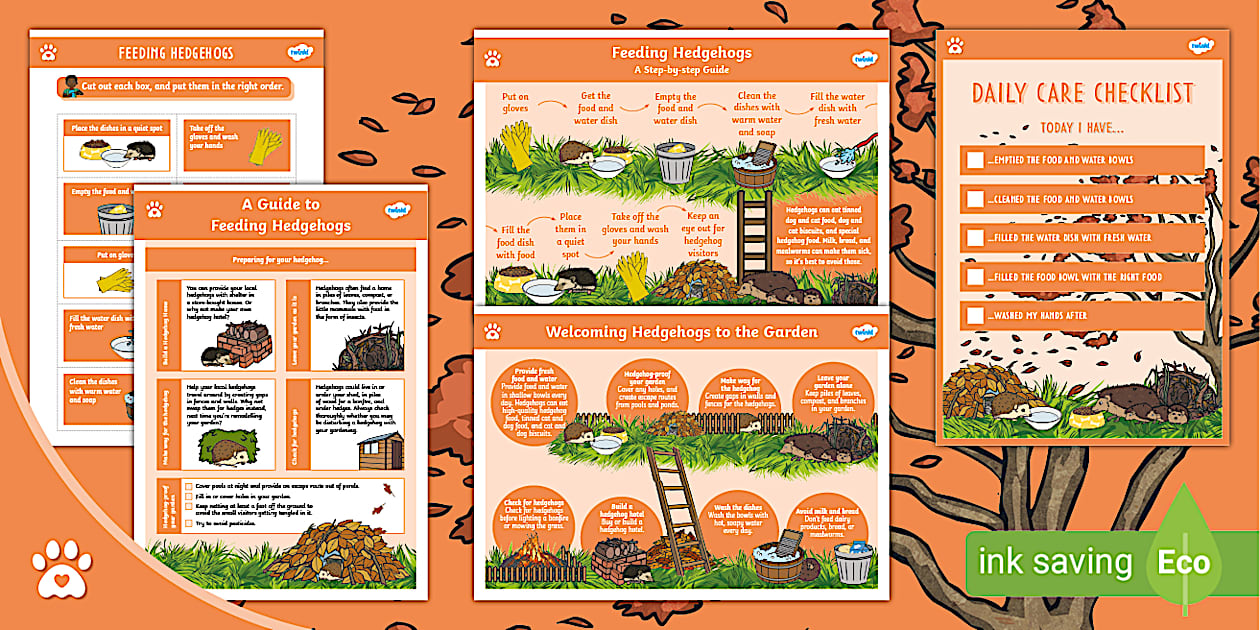 Garden Hedgehog Care Sheet Pack (teacher made) Twinkl