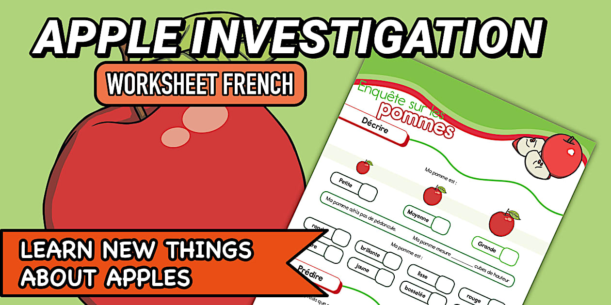 Apple Investigation Worksheet French (Teacher Made) Twinkl