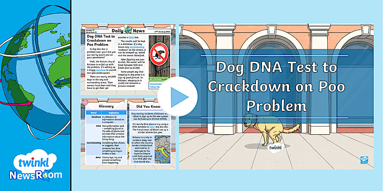 Dog DNA Test to Crack Down on Poo Problem | Twinkl Resources
