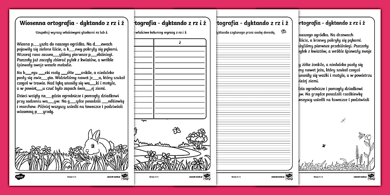 Dyktando Z Rz I ż Do Druku Wiosenna ortografia | Rz i ż | Dyktando (Teacher-Made)