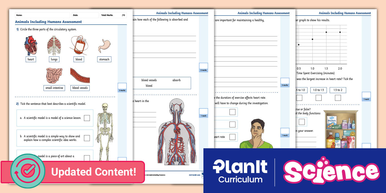 Y6 Animals Including Humans: Assessment Test