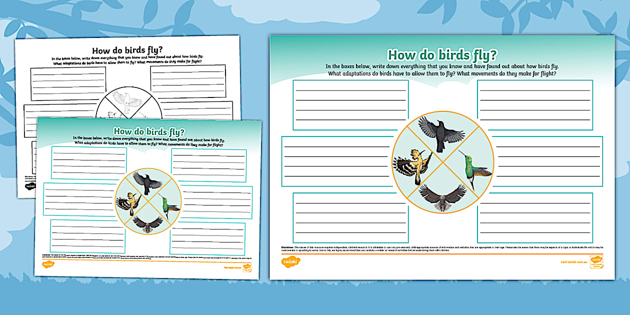 How Do Birds Fly? Mind Map