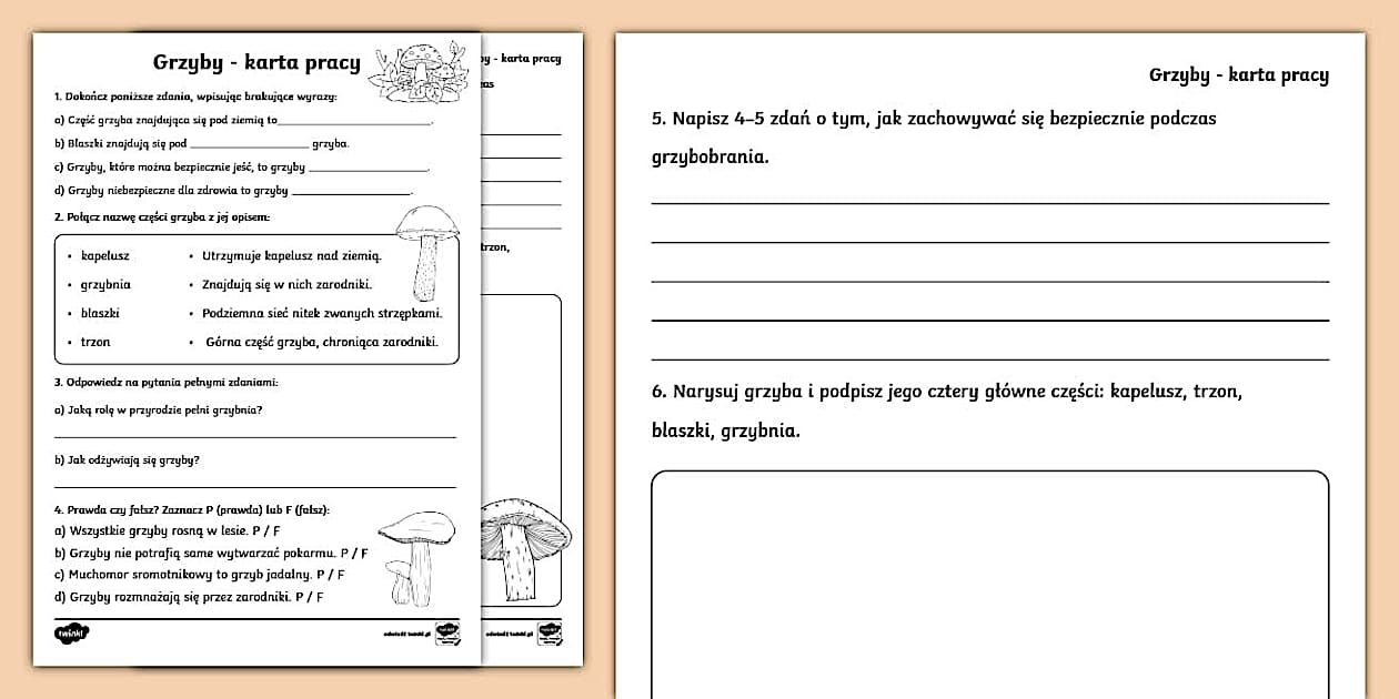 Sprawdzian Kl.3 Grzyby I Las