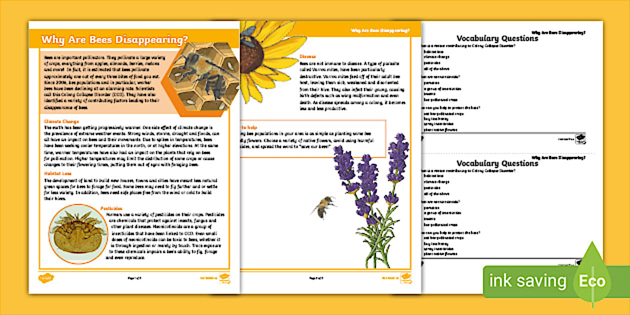 Editable The Disappearance of Bees Fact File - Twinkl