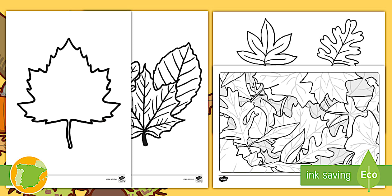 Hojas de otoño para decorar y colorear - Twinkl