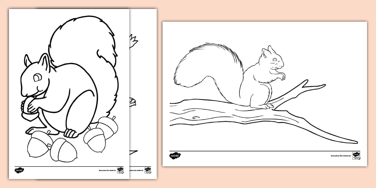  Foto zu Eichhörnchen - Ausmalbilder (Teacher-Made) - Twinkl 