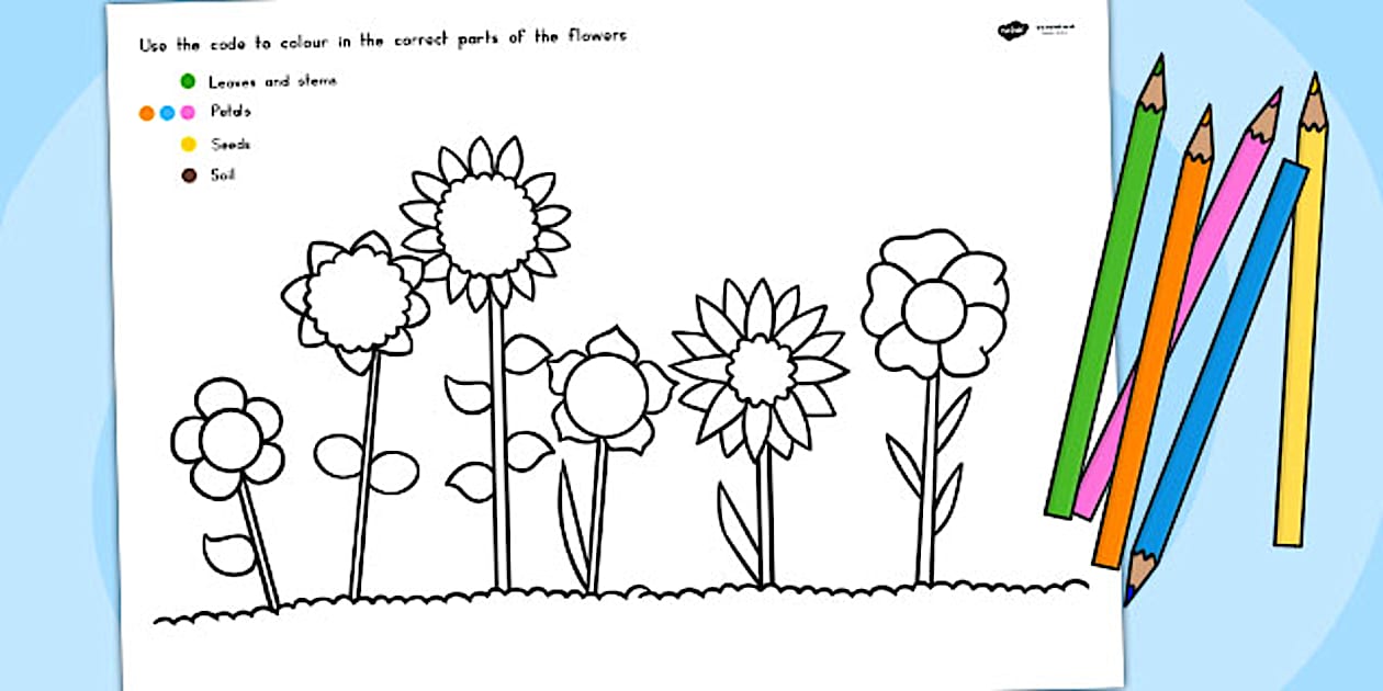 Colour Code Colouring Flowers Sheet (teacher made) - Twinkl