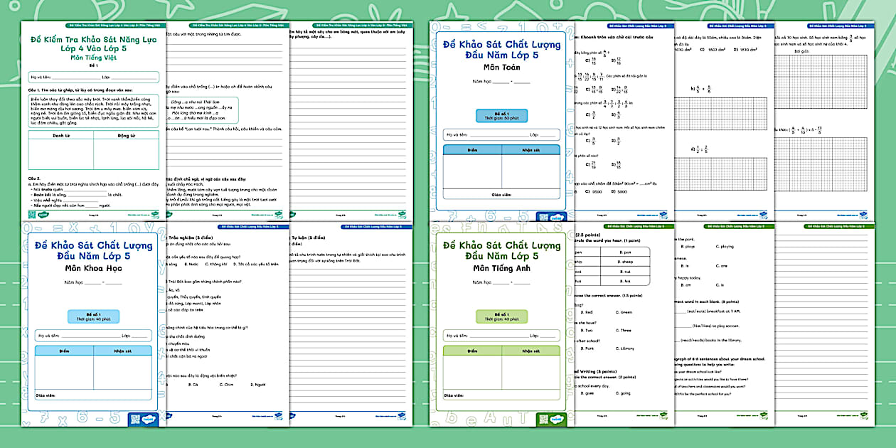 Bộ 4 Đề Kiểm Tra Khảo Sát Năng Lực Lớp 4 Vào Lớp 5 Các Môn Chính