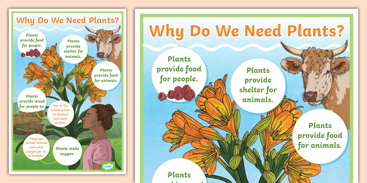 Why Do We Need Plants? - Poster (teacher made) - Twinkl