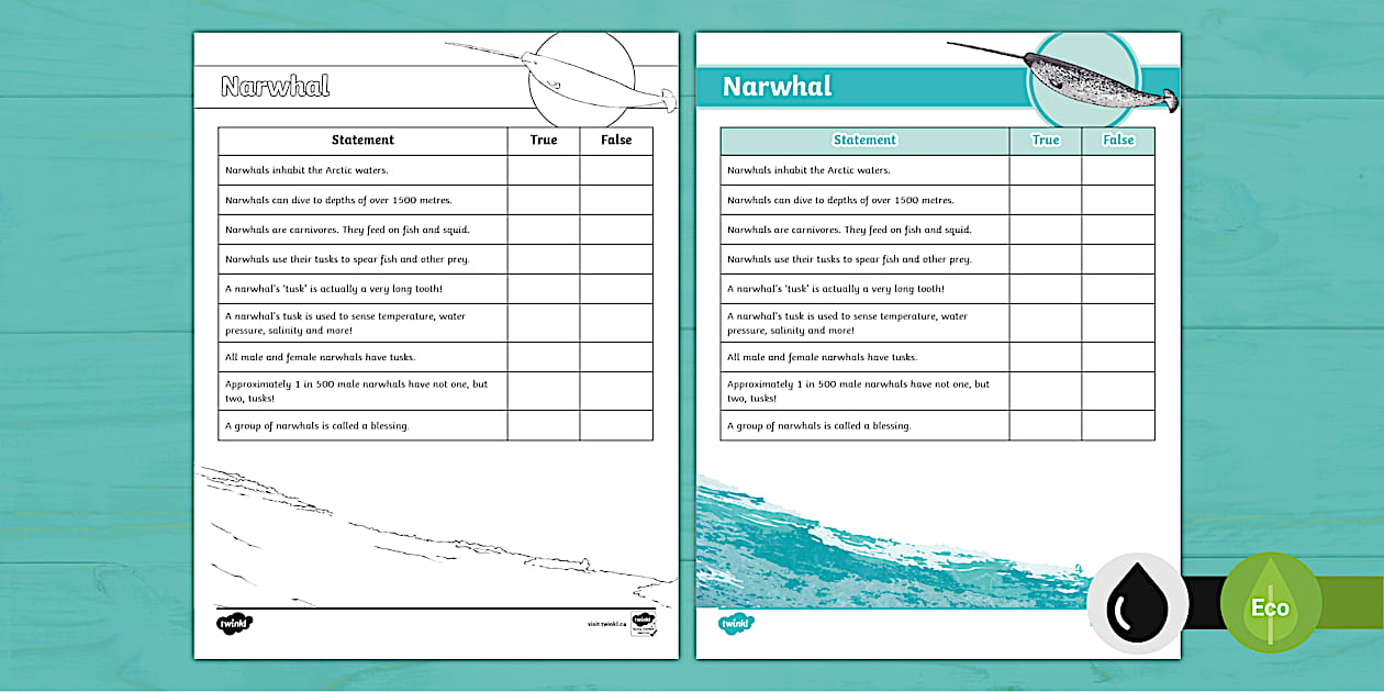 Narwhal True or False Activity (Teacher-Made) - Twinkl