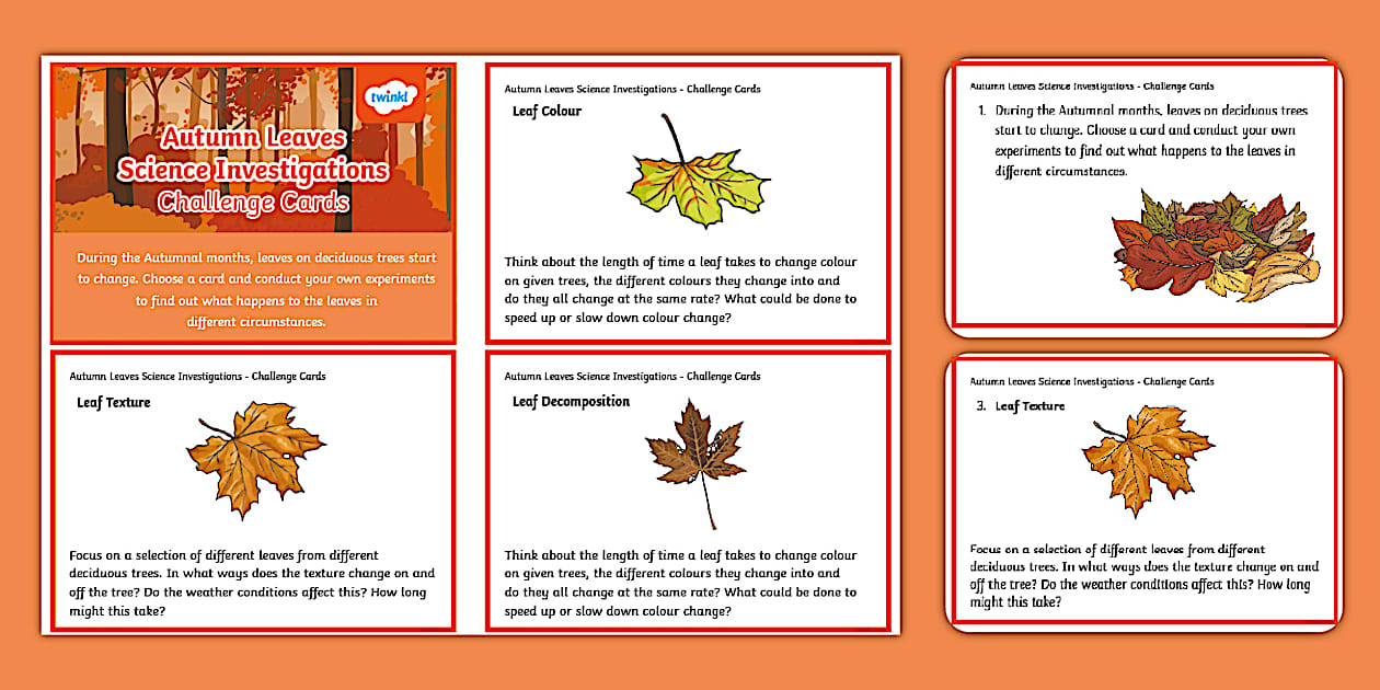 Autumn Leaves Science Investigations Challenge Cards