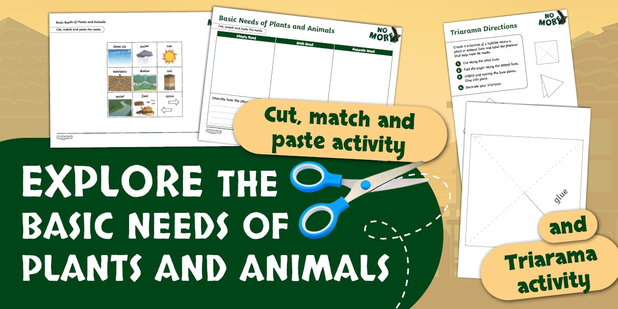 No More – Basic Needs of Plants and Animals Activity