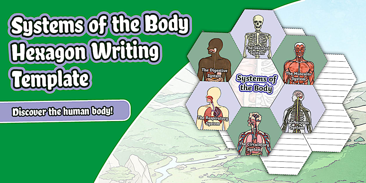 Systems of the Body Hexagon Writing Template (CAPS Aligned)