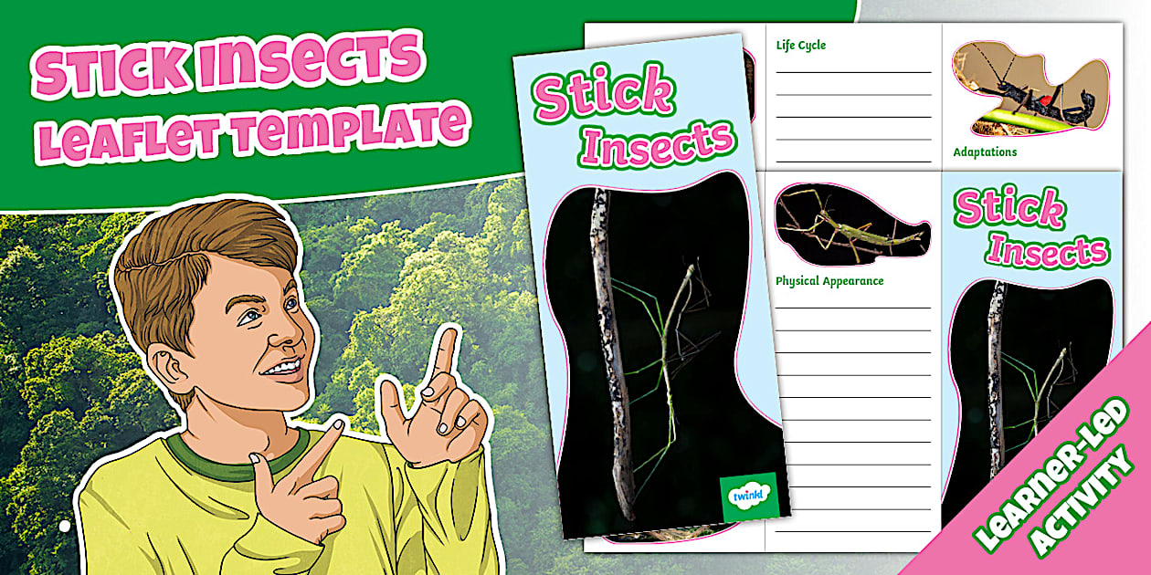Stick Insects Leaflet Template